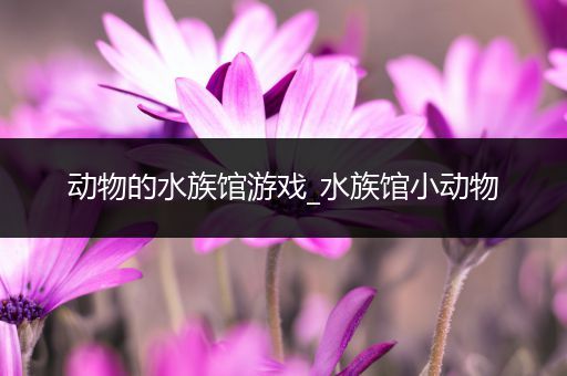 动物的水族馆游戏_水族馆小动物