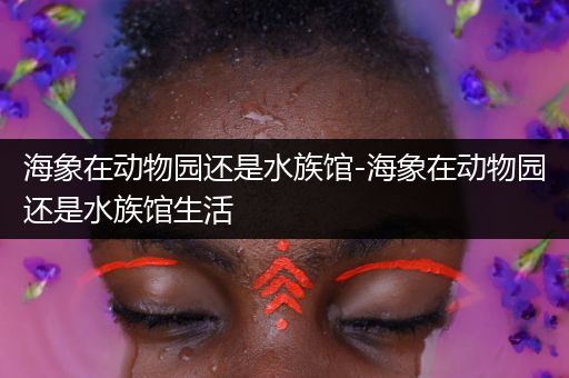 海象在动物园还是水族馆-海象在动物园还是水族馆生活