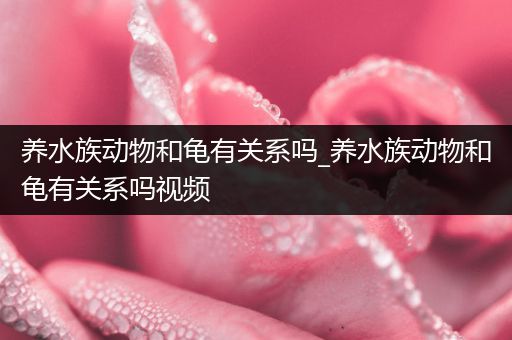养水族动物和龟有关系吗_养水族动物和龟有关系吗视频