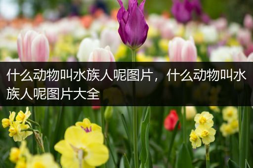 什么动物叫水族人呢图片，什么动物叫水族人呢图片大全