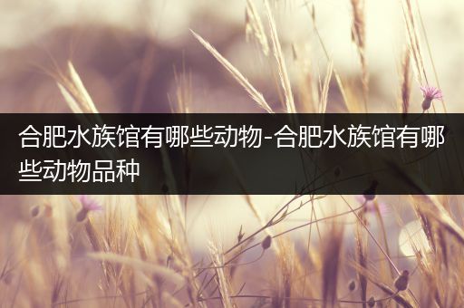 合肥水族馆有哪些动物-合肥水族馆有哪些动物品种