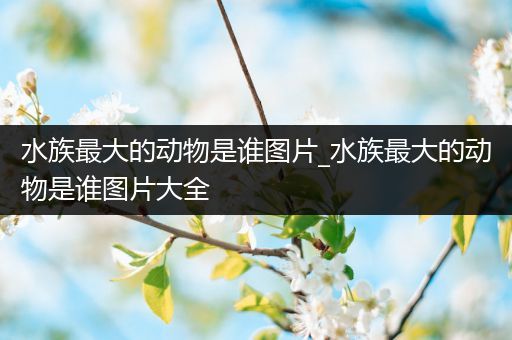 水族最大的动物是谁图片_水族最大的动物是谁图片大全