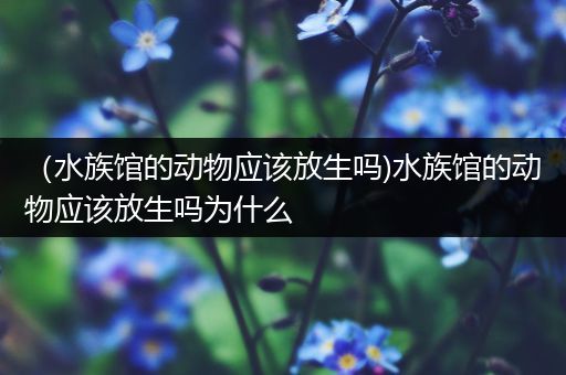 （水族馆的动物应该放生吗)水族馆的动物应该放生吗为什么