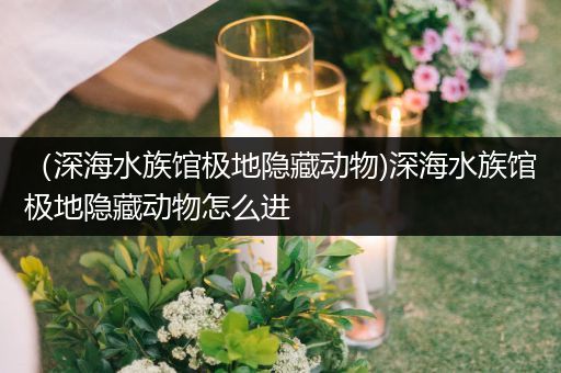 （深海水族馆极地隐藏动物)深海水族馆极地隐藏动物怎么进