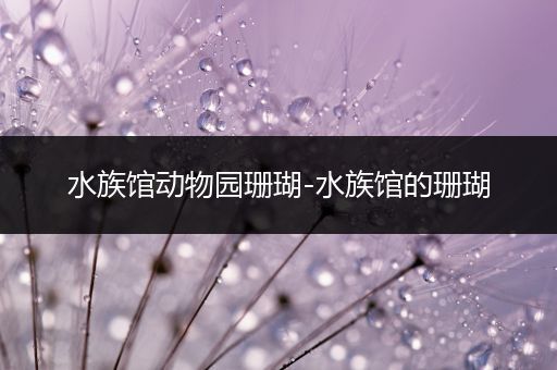 水族馆动物园珊瑚-水族馆的珊瑚