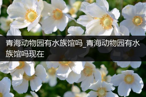 青海动物园有水族馆吗_青海动物园有水族馆吗现在