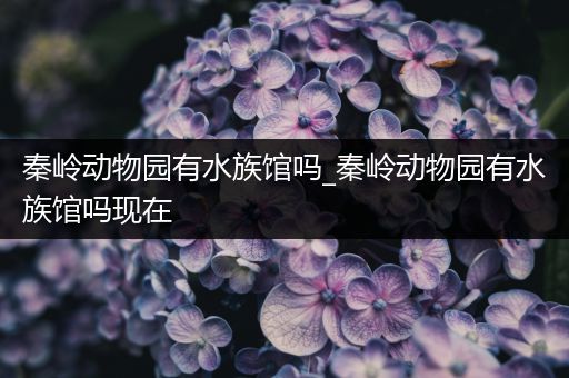 秦岭动物园有水族馆吗_秦岭动物园有水族馆吗现在