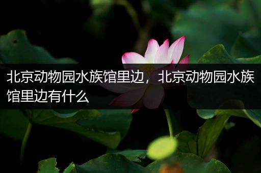 北京动物园水族馆里边，北京动物园水族馆里边有什么