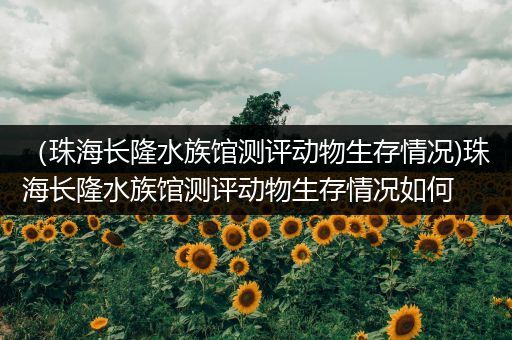 （珠海长隆水族馆测评动物生存情况)珠海长隆水族馆测评动物生存情况如何