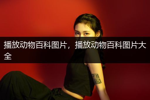 播放动物百科图片，播放动物百科图片大全
