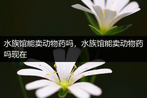 水族馆能卖动物药吗，水族馆能卖动物药吗现在