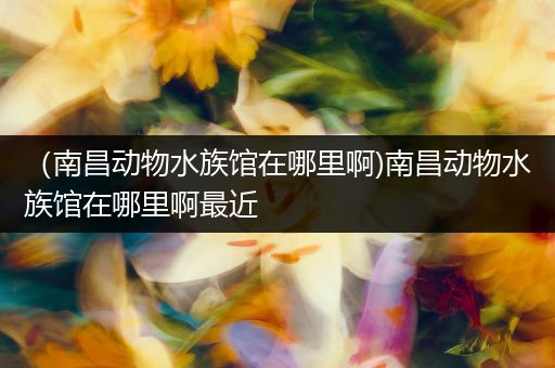 （南昌动物水族馆在哪里啊)南昌动物水族馆在哪里啊最近
