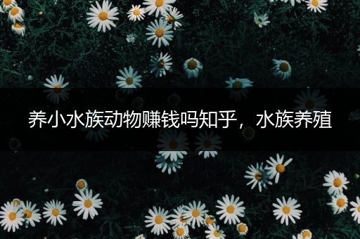 养小水族动物赚钱吗知乎，水族养殖
