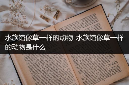 水族馆像草一样的动物-水族馆像草一样的动物是什么