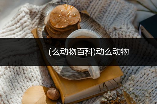 （么动物百科)动么动物