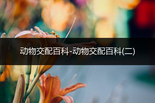 动物交配百科-动物交配百科(二)