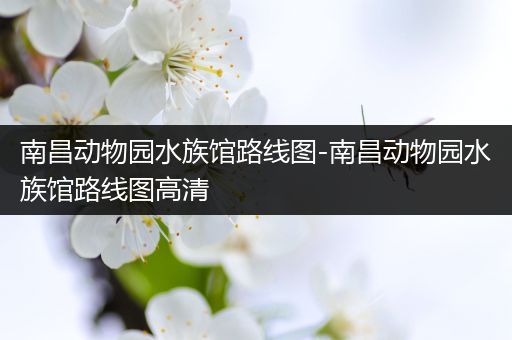 南昌动物园水族馆路线图-南昌动物园水族馆路线图高清
