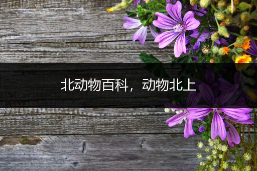 北动物百科，动物北上