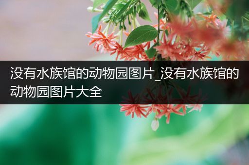 没有水族馆的动物园图片_没有水族馆的动物园图片大全