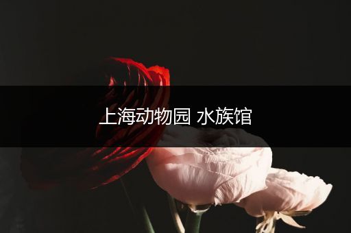 上海动物园 水族馆