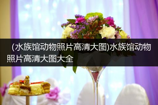 （水族馆动物照片高清大图)水族馆动物照片高清大图大全