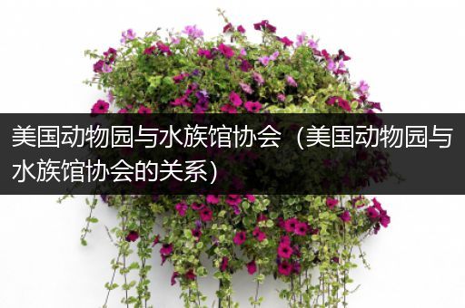 美国动物园与水族馆协会（美国动物园与水族馆协会的关系）