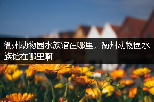 衢州动物园水族馆在哪里，衢州动物园水族馆在哪里啊