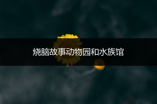 烧脑故事动物园和水族馆