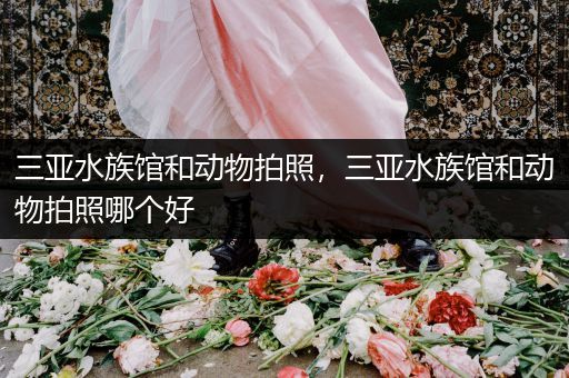 三亚水族馆和动物拍照，三亚水族馆和动物拍照哪个好