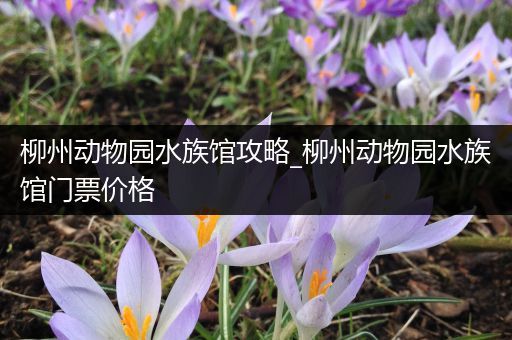 柳州动物园水族馆攻略_柳州动物园水族馆门票价格