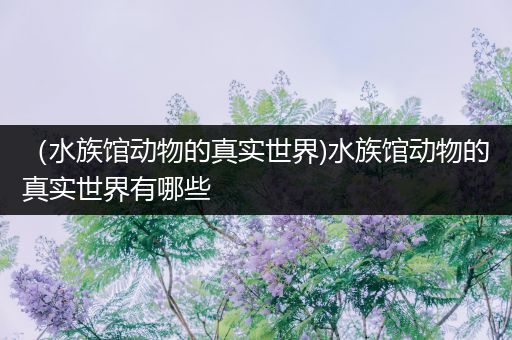（水族馆动物的真实世界)水族馆动物的真实世界有哪些