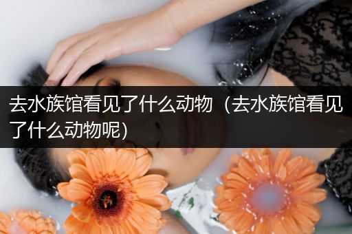 去水族馆看见了什么动物（去水族馆看见了什么动物呢）