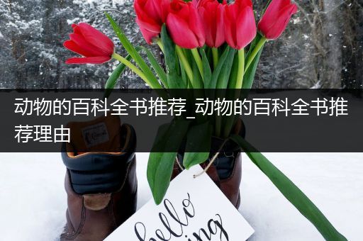 动物的百科全书推荐_动物的百科全书推荐理由