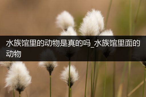 水族馆里的动物是真的吗_水族馆里面的动物