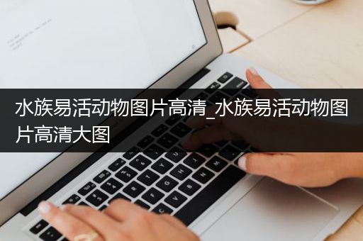 水族易活动物图片高清_水族易活动物图片高清大图