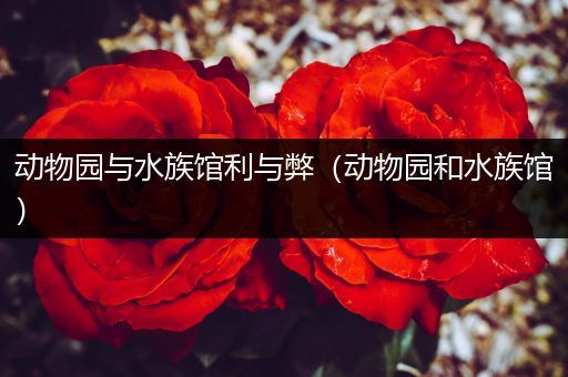 动物园与水族馆利与弊（动物园和水族馆）