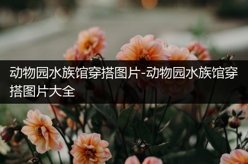 动物园水族馆穿搭图片-动物园水族馆穿搭图片大全