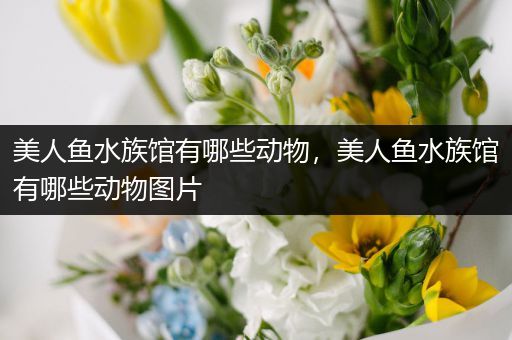 美人鱼水族馆有哪些动物，美人鱼水族馆有哪些动物图片