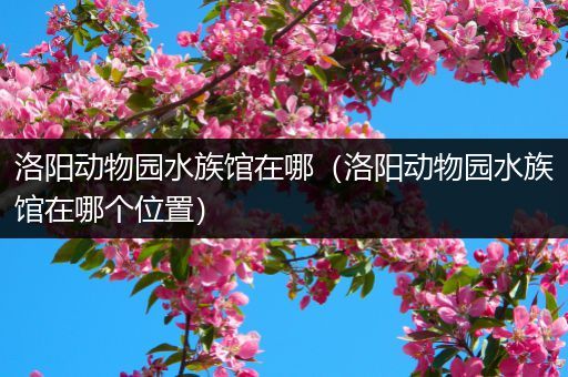 洛阳动物园水族馆在哪（洛阳动物园水族馆在哪个位置）