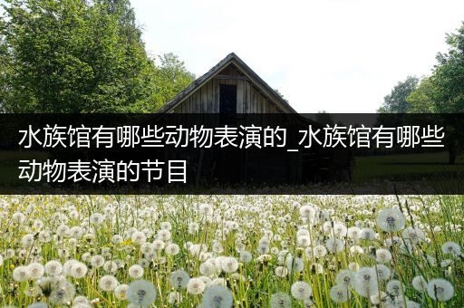 水族馆有哪些动物表演的_水族馆有哪些动物表演的节目