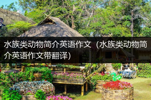 水族类动物简介英语作文（水族类动物简介英语作文带翻译）