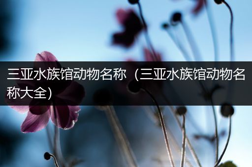 三亚水族馆动物名称（三亚水族馆动物名称大全）