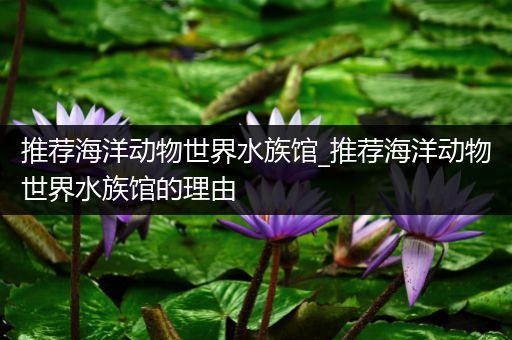 推荐海洋动物世界水族馆_推荐海洋动物世界水族馆的理由