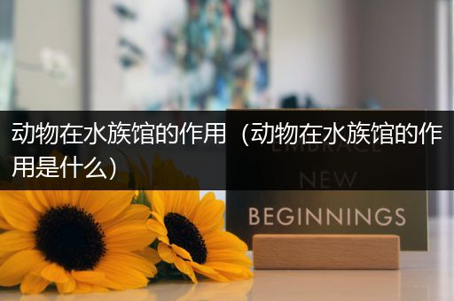 动物在水族馆的作用（动物在水族馆的作用是什么）