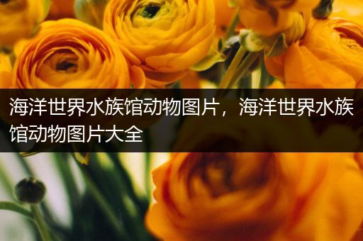 海洋世界水族馆动物图片，海洋世界水族馆动物图片大全