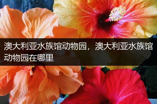 澳大利亚水族馆动物园，澳大利亚水族馆动物园在哪里