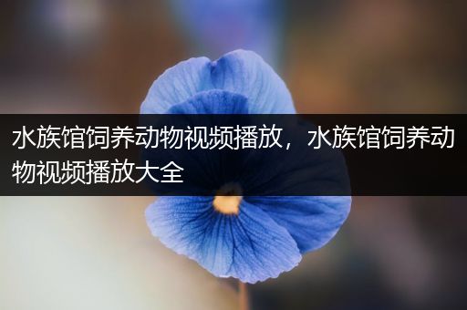 水族馆饲养动物视频播放，水族馆饲养动物视频播放大全