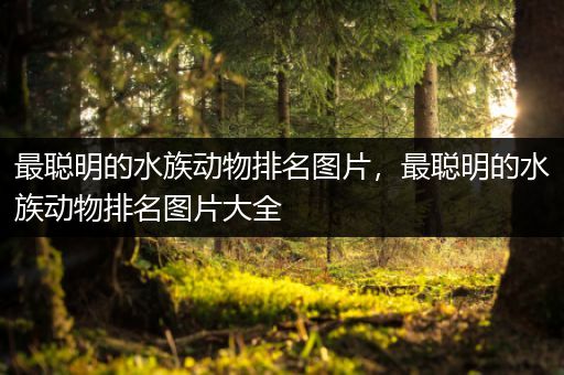 最聪明的水族动物排名图片，最聪明的水族动物排名图片大全