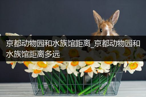京都动物园和水族馆距离_京都动物园和水族馆距离多远