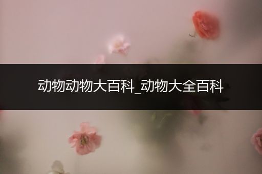 动物动物大百科_动物大全百科
